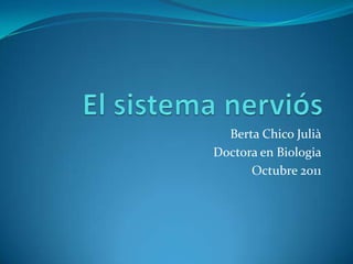 El sistema nerviós  Berta Chico Julià Doctora en Biologia Octubre 2011 