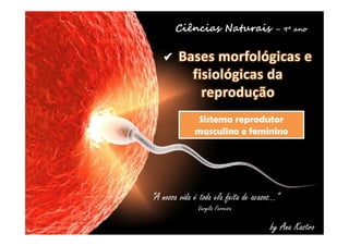 Ciências Naturais – 9º ano 
Sistema reprodutor 
masculino e feminino 
“A nossa vida é toda ela feita de acasos…” 
by Ana Kastro 
Vergílio Ferreira 
 
