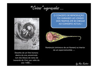 “Coisas” engraçadas … 
O CONCEITO DE REPRODUÇÃO 
FOI VARIANDO AO LONGO 
DOS TEMPOS ATÉ SE CHEGAR 
AO CONCEITO ACTUAL ! 
by Ana Kastro 
Desenho de um feto humano 
dentro do ovo, encontrado 
num dos blocos de notas de 
Leonardo da Vinci, por volta do 
ano 1400… 
Homúnculo (miniatura de um Homem) no interior 
de um espermatozóide … 
 