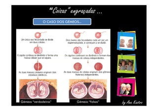“Coisas” engraçadas … 
OO CCAASSOO DDOOSS GGÉÉMMEEOOSS...... 
Gémeos “verdadeiros” Gémeos “falsos” by Ana Kastro 
 