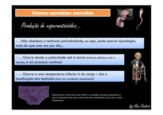 SSiisstteemmaa rreepprroodduuttoorr mmaassccuulliinnoo 
Produção de espermatozóides... 
 ...Não obedece a nenhuma periodicidade, ou seja, pode ocorrer ejaculação 
mais do que uma vez por dia... 
 ... Ocorre desde a puberdade até à morte (embora diminua com a 
idade); é um processo contínuo! 
by Ana Kastro 
 ... Ocorre a uma temperatura inferior à do corpo – daí a 
localização dos testículos (fora da cavidade abdominal)! 
Roupa interior muito justa pode afetar a produção de espermatozóides já 
que os testículos ficam mais próximo da zona abdominal e, por isso, a maior 
temperatura. 
 
