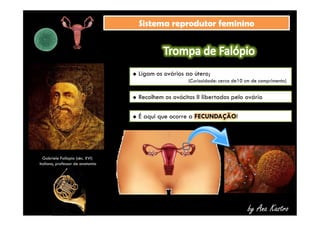 SSiisstteemmaa rreepprroodduuttoorr ffeemmiinniinnoo 
 Ligam os ovários ao útero; 
(Curiosidade: cerca de10 cm de comprimento) 
 Recolhem os ovócitos II libertados pelo ovário 
by Ana Kastro 
 É aqui que ocorre a FECUNDAÇÃO! 
Gabriele Fallopio (séc. XVI) 
italiano, professor de anatomia 
 