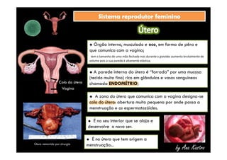 SSiisstteemmaa rreepprroodduuttoorr ffeemmiinniinnoo 
 Órgão interno, musculado e oco, em forma de pêra e 
que comunica com a vagina; 
tem o tamanho de uma mão fechada mas durante a gravidez aumenta brutalmente de 
Útero volume pois a sua parede é altamente elástica; 
CCoolloo ddoo úútteerroo 
 A parede interna do útero é “forrada” por uma mucosa 
(tecido muito fino) rico em glândulas e vasos sanguíneos 
chamada ENDOMÉTRIO; 
 A zona do útero que comunica com a vagina designa-se 
colo do útero: abertura muito pequena por onde passa a 
menstruação e os espermatozóides. 
by Ana Kastro 
Útero removido por cirurgia 
 É no seu interior que se aloja e 
desenvolve o novo ser. 
VVaaggiinnaa 
 É no útero que tem origem a 
menstruação... 
 