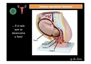 SSiisstteemmaa rreepprroodduuttoorr ffeemmiinniinnoo 
... E é nele 
que se 
desenvolve 
o feto! 
by Ana Kastro 
Vagina 
Ânus 
Bexiga 
Uretra 
Útero 
 