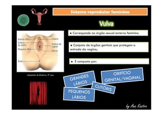 SSiisstteemmaa rreepprroodduuttoorr ffeemmiinniinnoo 
 Corresponde ao órgão sexual externo feminino. 
 Conjunto de órgãos genitais que protegem a 
entrada da vagina; 
by Ana Kastro 
 É composto por: 
adaptado de Bioterra, 9º ano 
 