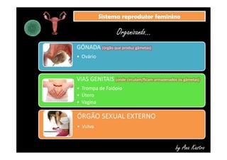 SSiisstteemmaa rreepprroodduuttoorr ffeemmiinniinnoo 
Organizando... 
GÓNADA (órgão que produz gâmetas) 
• Ovário 
VIAS GENITAIS (onde circulam/ficam armazenados os gâmetas) 
• Trompa de Falópio 
• Útero 
• Vagina 
ÓRGÃO SEXUAL EXTERNO 
• Vulva 
by Ana Kastro 
 