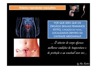SSiisstteemmaa rreepprroodduuttoorr mmaassccuulliinnoo 
POR QUE SERÁ QUE OS 
ÓRGÃOS SEXUAIS FEMININOS 
ESTÃO, À EXCEÇÃO DA VULVA, 
LOCALIZADOS DENTRO DA 
CAVIDADE ABDOMINAL? 
... O interior do corpo oferece 
melhores condições de temperatura e 
de proteção a um eventual novo ser... 
by Ana Kastro 
 