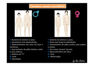 CCaarraatteerreess sseexxuuaaiiss sseeccuunnddáárriiooss 
by Ana Kastro 
► Aumento da estatura e peso; 
► Musculatura mais desenvolvida; 
► Desenvolvimento dos ossos da face e 
maxilares; 
► Aparecimento de pêlos (barba, axilas 
e zona púbica); 
► Ombros em “V” 
► Acne 
► Ejaculação 
► Aumento da estatura e peso; 
► Bacia mais larga/arredondada; 
► Aparecimento de pêlos (axilas, zona púbica 
e corpo); 
► Voz menos “grossa” (grave); 
► Desenvolvimento dos seios; 
► Acne 
► Menstruação 
 