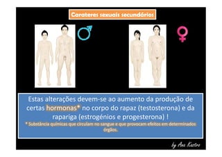 CCaarraatteerreess sseexxuuaaiiss sseeccuunnddáárriiooss 
Estas alterações devem-se ao aumento da produção de 
certas hormonas* no corpo do rapaz (testosterona) e da 
by Ana Kastro 
rapariga (estrogénios e progesterona) ! 
* Substância químicas que circulam no sangue e que provocam efeitos em determinados 
órgãos. 
 