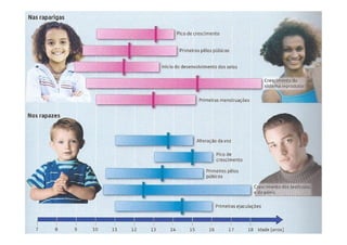 CCaarraatteerreess sseexxuuaaiiss sseeccuunnddáárriiooss 
by Ana Kastro 
 