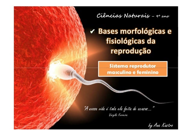 Ciências Naturais – 9º ano 
Sistema reprodutor 
masculino e feminino 
“A nossa vida é toda ela feita de acasos…” 
by Ana K...