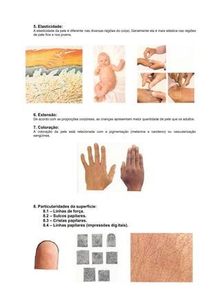 5. Elasticidade:
A elasticidade da pele é diferente nas diversas regiões do corpo. Geralmente ela é mais elástica nas regiões
de pele fina e nos jovens.




6. Extensão:
De acordo com as proporções corpóreas, as crianças apresentam maior quantidade de pele que os adultos.

7. Coloração:
A coloração da pele está relacionada com a pigmentação (melanina e caroteno) ou vascularização
sangüínea.




8. Particularidades da superfície:
     8.1 – Linhas de força.
     8.2 – Sulcos papilares.
     8.3 – Cristas papilares.
     8.4 – Linhas papilares (impressões dig itais).
 
