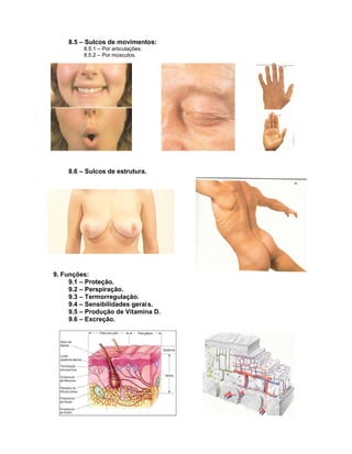 8.5 – Sulcos de movimentos:
         8.5.1 – Por articulações.
         8.5.2 – Por músculos.




    8.6 – Sulcos de estrutura.




9. Funções:
     9.1 – Proteção.
     9.2 – Perspiração.
     9.3 – Termorregulação.
     9.4 – Sensibilidades gerai s.
     9.5 – Produção de Vitamina D.
     9.6 – Excreção.
 