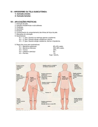 VI – HIPODERME OU TELA SUBCUTÂNEA:
     1. Camada areolar.
     2. Camada lamelar.


VII – APLICAÇÕES PRÁTICAS:
    1. Doenças de pele.
    2. Injeções intradérmicas e sub cutâneas.
    3. Cicatrizes.
    4. Quelóides.
    5. Escaras.
    6. Conhecimento do comportamento das linhas de força da pele.
    7. Alterações de coloração.
    8. Queimaduras:
           8.1 – 1° grau: Quando se restringe apenas a epiderme.
           8.2 – 2° grau: Quando atinge a epiderme e derme.
           8.3 – 3° grau: Quando atinge a epiderme, derme e hipoderme.

    9. Regra dos nove para queimaduras:
          9.1 – Membros superiores:                         l8% (9% cada).
          9.2 – Membros inferiores:                         36% (l8% cada).
          9.3 – Tronco:                                     36%.
          9.4 – Cabeça e pescoço:                           9%.
          9.5 – Períneo:                                    1%.
                                                     Total: 100,0%.
 