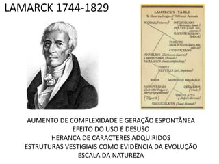 LAMARCK 1744-1829




    AUMENTO DE COMPLEXIDADE E GERAÇÃO ESPONTÂNEA
                EFEITO DO USO E DESUSO
          HERANÇA DE CARACTERES ADQUIRIDOS
   ESTRUTURAS VESTIGIAIS COMO EVIDÊNCIA DA EVOLUÇÃO
                  ESCALA DA NATUREZA
 