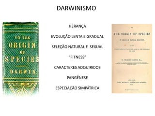 DARWINISMO

        HERANÇA

EVOLUÇÃO LENTA E GRADUAL

SELEÇÃO NATURAL E SEXUAL

       “FITNESS”

 CARACTERES ADQUIRIDOS

       PANGÊNESE

 ESPECIAÇÃO SIMPÁTRICA
 
