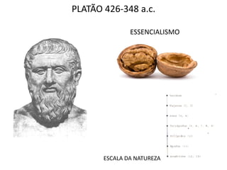 PLATÃO 426-348 a.c.

               ESSENCIALISMO




       ESCALA DA NATUREZA
 