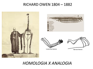 RICHARD OWEN 1804 – 1882




HOMOLOGIA X ANALOGIA
 