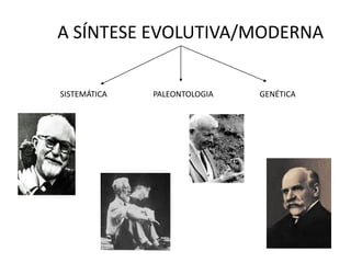A SÍNTESE EVOLUTIVA/MODERNA


SISTEMÁTICA   PALEONTOLOGIA   GENÉTICA
 