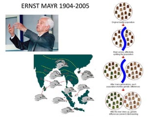 ERNST MAYR 1904-2005
 