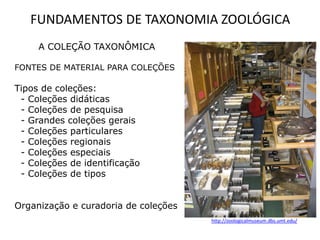 FUNDAMENTOS DE TAXONOMIA ZOOLÓGICA
     A COLEÇÃO TAXONÔMICA

FONTES DE MATERIAL PARA COLEÇÕES

Tipos de coleções:
 - Coleções didáticas
 - Coleções de pesquisa
 - Grandes coleções gerais
 - Coleções particulares
 - Coleções regionais
 - Coleções especiais
 - Coleções de identificação
 - Coleções de tipos


Organização e curadoria de coleções
                                      http://zoologicalmuseum.dbs.umt.edu/
 