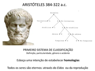 ARISTÓTELES 384-322 a.c.




           PRIMEIRO SISTEMA DE CLASSIFICAÇÃO
              Definição, particularidade, gênero e acidente


       Esboça uma intenção de estabelecer homologias

Todos os seres são eternos: através do Eidos ou da reprodução
 