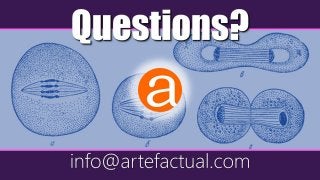 info@artefactual.com
Questions?
 