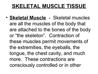 SKELETAL MUSCLE TISSUE
• Skeletal Muscle - Skeletal muscles
are all the muscles of the body that
are attached to the bones of the body
or “the skeleton”. Contraction of
these muscles permit movements of
the extremities, the eyeballs, the
tongue, the chest cavity, and much
more. These contractions are
consciously controlled or in other
 