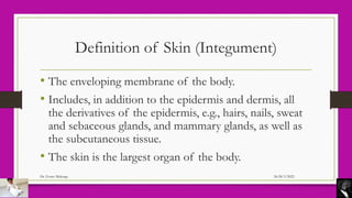 2 - Skin.pdf