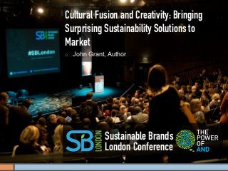 Cultural Fusion and Creativity: Bringing
Surprising Sustainability Solutions to
Market
¡    John Grant, Author




                Sustainable Brands
                London Conference
 
