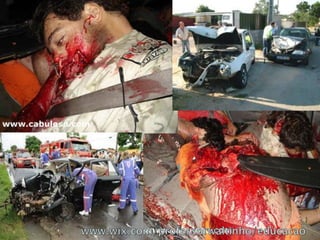 slide trânsito 1º ano