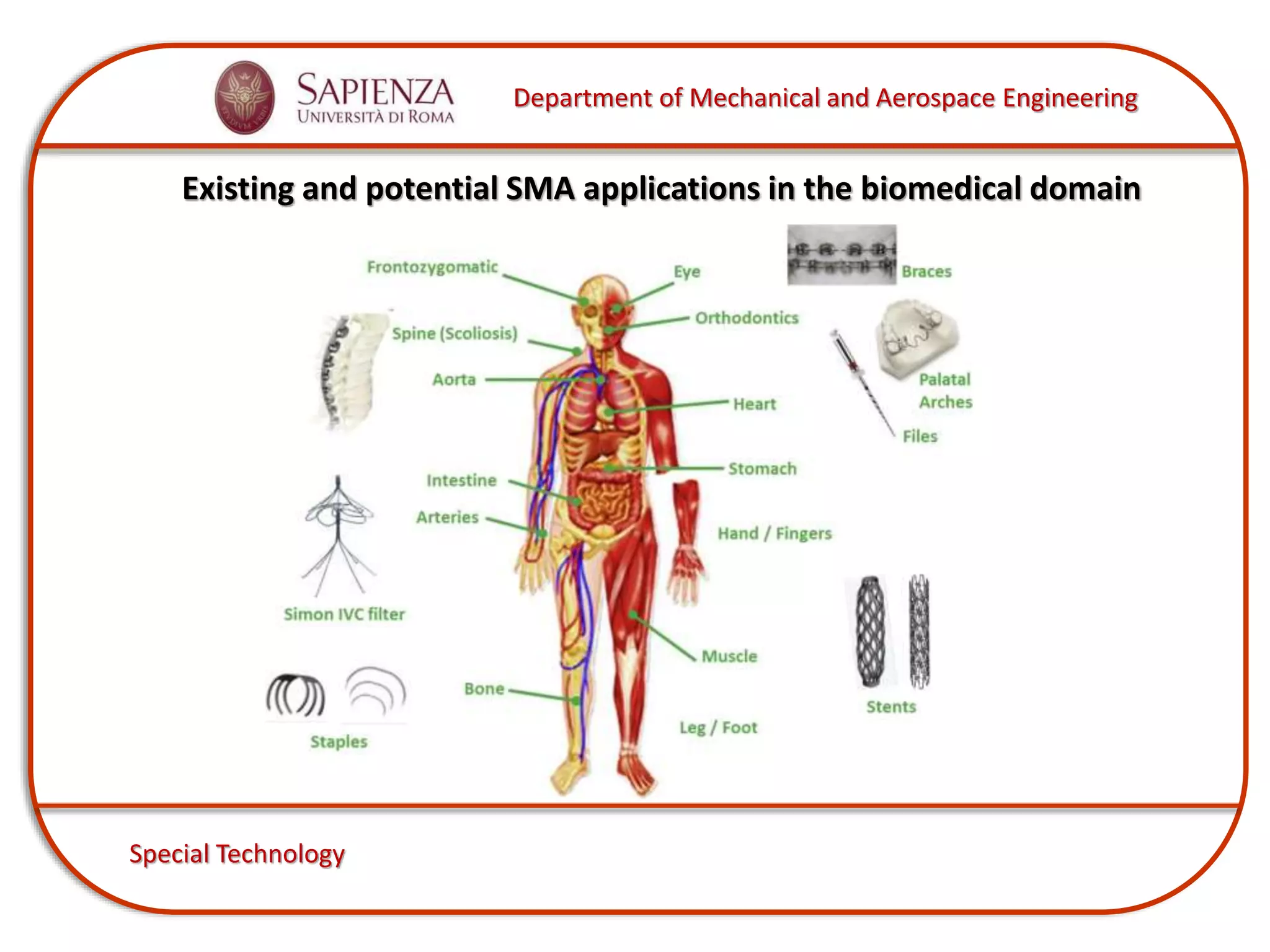 Department of Mechanical and Aerospace Engineering
Special Technology
Existing and potential SMA applications in the biomedical domain
 