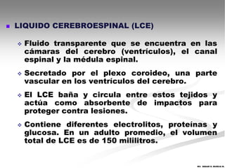    LIQUIDO CEREBROESPINAL (LCE)

       Fluido transparente que se encuentra en las
        cámaras del cerebro (ventrículos), el canal
        espinal y la médula espinal.
       Secretado por el plexo coroideo, una parte
        vascular en los ventrículos del cerebro.
       El LCE baña y circula entre estos tejidos y
        actúa como absorbente de impactos para
        proteger contra lesiones.
       Contiene diferentes electrolitos, proteínas y
        glucosa. En un adulto promedio, el volumen
        total de LCE es de 150 mililitros.


                                                MV. EDGAR H. MURCIA M.
 