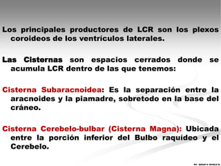 Los principales productores de LCR son los plexos
  coroideos de los ventrículos laterales.

Las Cisternas son espacios cerrados donde se
  acumula LCR dentro de las que tenemos:

Cisterna Subaracnoidea: Es la separación entre la
  aracnoides y la piamadre, sobretodo en la base del
  cráneo.

Cisterna Cerebelo-bulbar (Cisterna Magna): Ubicada
  entre la porción inferior del Bulbo raquídeo y el
  Cerebelo.

                                             MV. EDGAR H. MURCIA M.
 
