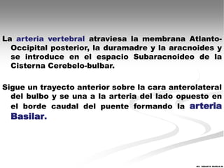 La arteria vertebral atraviesa la membrana Atlanto-
  Occipital posterior, la duramadre y la aracnoides y
  se introduce en el espacio Subaracnoideo de la
  Cisterna Cerebelo-bulbar.

Sigue un trayecto anterior sobre la cara anterolateral
  del bulbo y se una a la arteria del lado opuesto en
  el borde caudal del puente formando la arteria
  Basilar.




                                               MV. EDGAR H. MURCIA M.
 