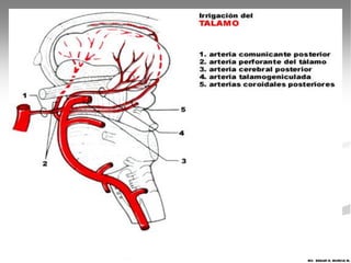 MV. EDGAR H. MURCIA M.
 