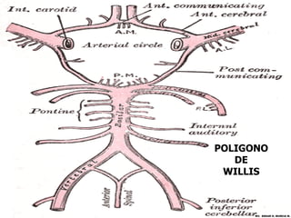 POLIGONO
   DE
 WILLIS



      MV. EDGAR H. MURCIA M.
 