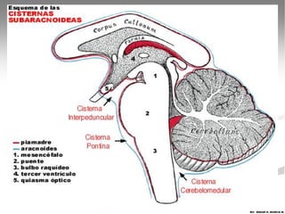 MV. EDGAR H. MURCIA M.
 