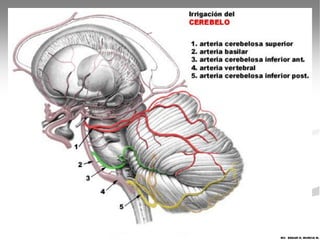 MV. EDGAR H. MURCIA M.
 