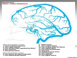 MV. EDGAR H. MURCIA M.
 