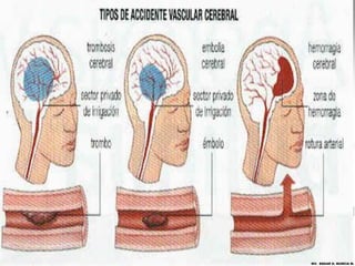 MV. EDGAR H. MURCIA M.
 