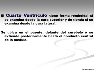 El   Cuarto Ventrículo        tiene forma romboidal si
     se examina desde la cara superior y de tienda si se
     examina desde la cara lateral.

Se ubica en el puente, delante del cerebelo y se
  extiende posteriormente hasta el conducto central
  de la medula.




                                                 MV. EDGAR H. MURCIA M.
 