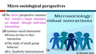 Microsociology Example 2 social structure | PDF