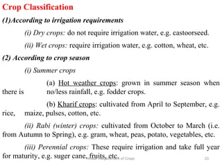 Crop Classification
(1)According to irrigation requirements
(i) Dry crops: do not require irrigation water, e.g. castoorseed.
(ii) Wet crops: require irrigation water, e.g. cotton, wheat, etc.
(2) According to crop season
(i) Summer crops
(a) Hot weather crops: grown in summer season when
there is no/less rainfall, e.g. fodder crops.
(b) Kharif crops: cultivated from April to September, e.g.
rice, maize, pulses, cotton, etc.
(ii) Rabi (winter) crops: cultivated from October to March (i.e.
from Autumn to Spring), e.g. gram, wheat, peas, potato, vegetables, etc.
(iii) Perennial crops: These require irrigation and take full year
for maturity, e.g. suger cane, fruits, etc. 33Water Requirement of Crops
 
