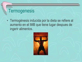 Termogenesis Termogénesis inducida por la dieta se refiere al aumento en el IMB que tiene lugar despues de ingerir alimentos. 