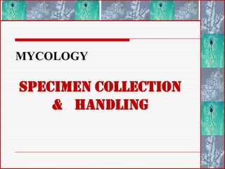 MYCOLOGY SPECIMEN COLLECTION & 	HANDLING 