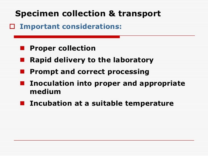 2 specimen collection