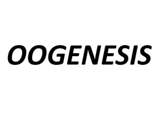 OOGENESIS
 