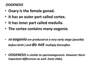 OOGENESIS
•   Ovary is the female gonad.
•   It has an outer part called cortex.
•   It has inner part called medulla.
•   The cortex contains many oogonia.

• All oogonia are produced at a very early stage (possibly
    before birth ) and do   not multiply thereafter.

• OOGENESIS is similar to spermatogenesis. However there
    important differences as well. (next slide).
 
