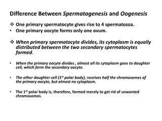 Difference Between Spermatogenesis and Oogenesis
 One primary spermatocyte gives rise to 4 spermatozoa.
• One primary oocyte forms only one ovum.

 When primary spermatocyte divides, its cytoplasm is equally
  distributed between the two secondary spermatocytes
  formed.
•   When the primary oocyte divides , almost all its cytoplasm goes to daughter
    cell, which form the secondary oocyte.

•   The other daughter cell (1st polar body), receives half the chromosomes of
    the primary oocyte, but almost no cytoplasm.

•   The 1st polar body is, therefore, formed merely to get rid of unwanted
    chromosomes.
 